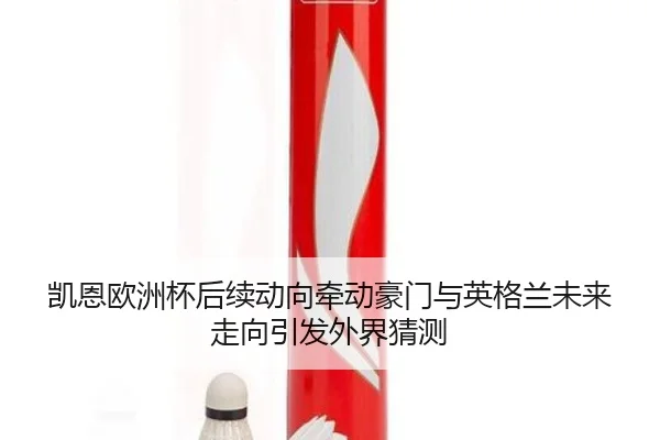 凯恩欧洲杯后续动向牵动豪门与英格兰未来走向引发外界猜测